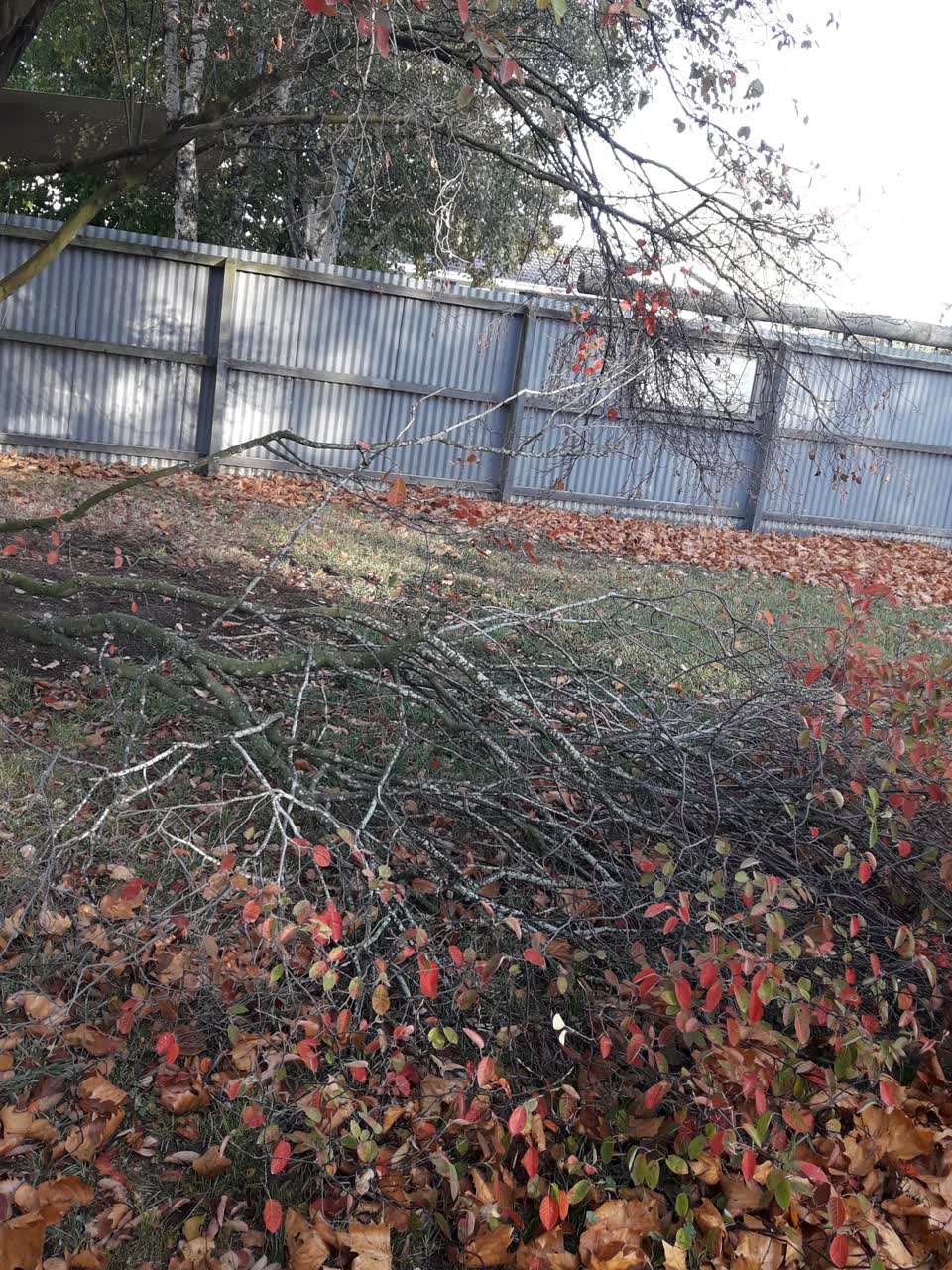 The photograph attached to this parks report