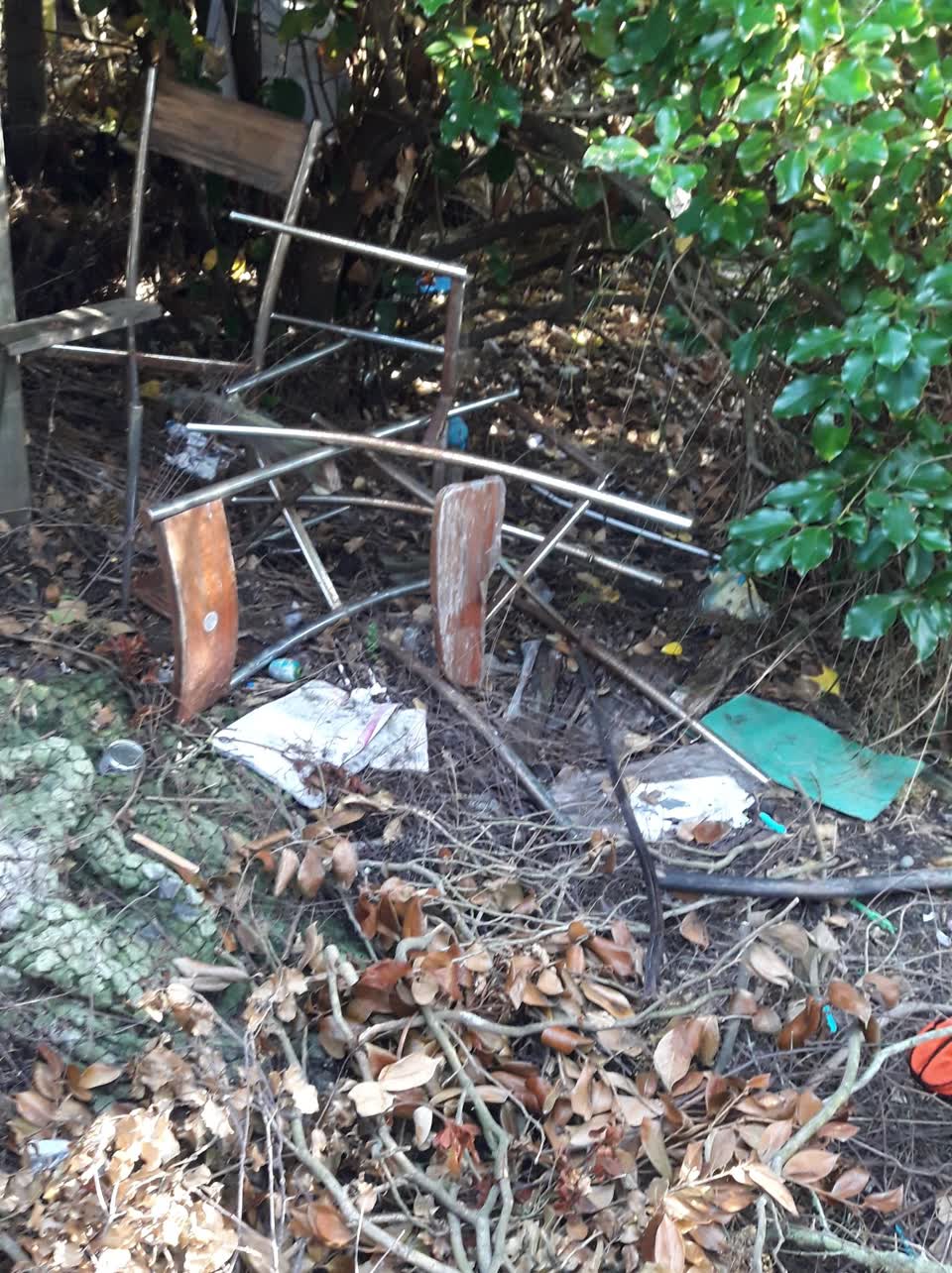 The photograph attached to this parks report