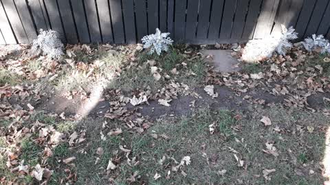 Parks, a report photo