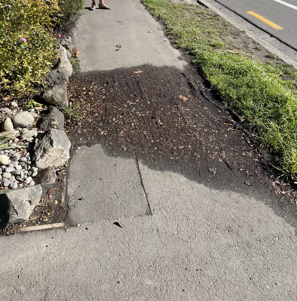 The photograph attached to this water leak report