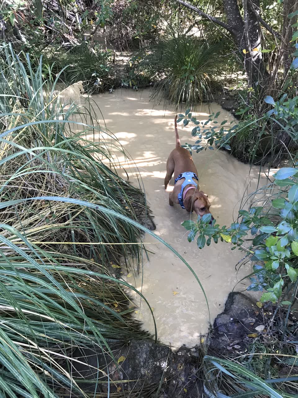 The photograph attached to this wastewater/stormwater report