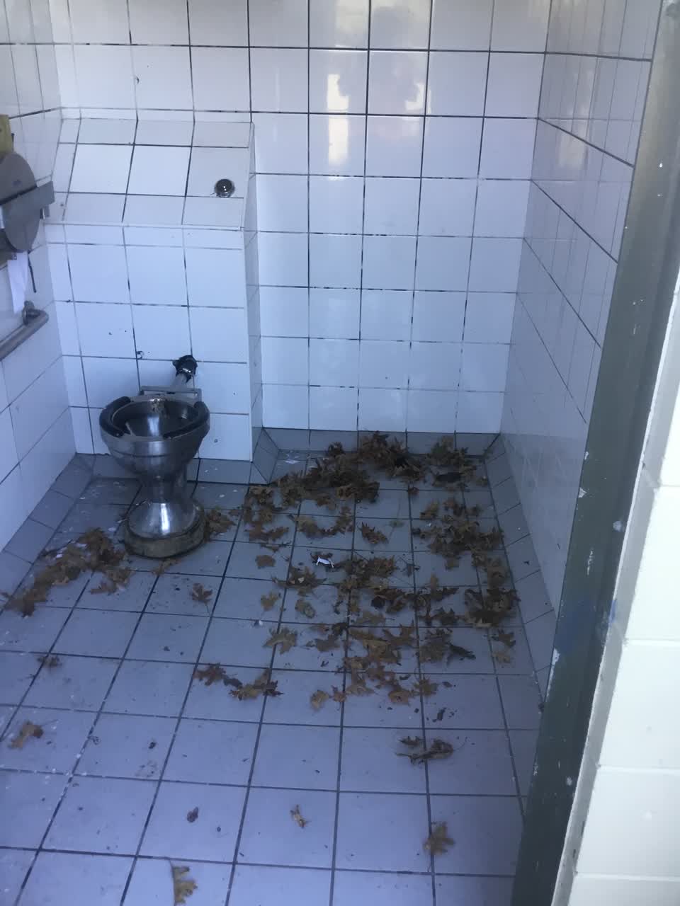 The photograph attached to this parks report