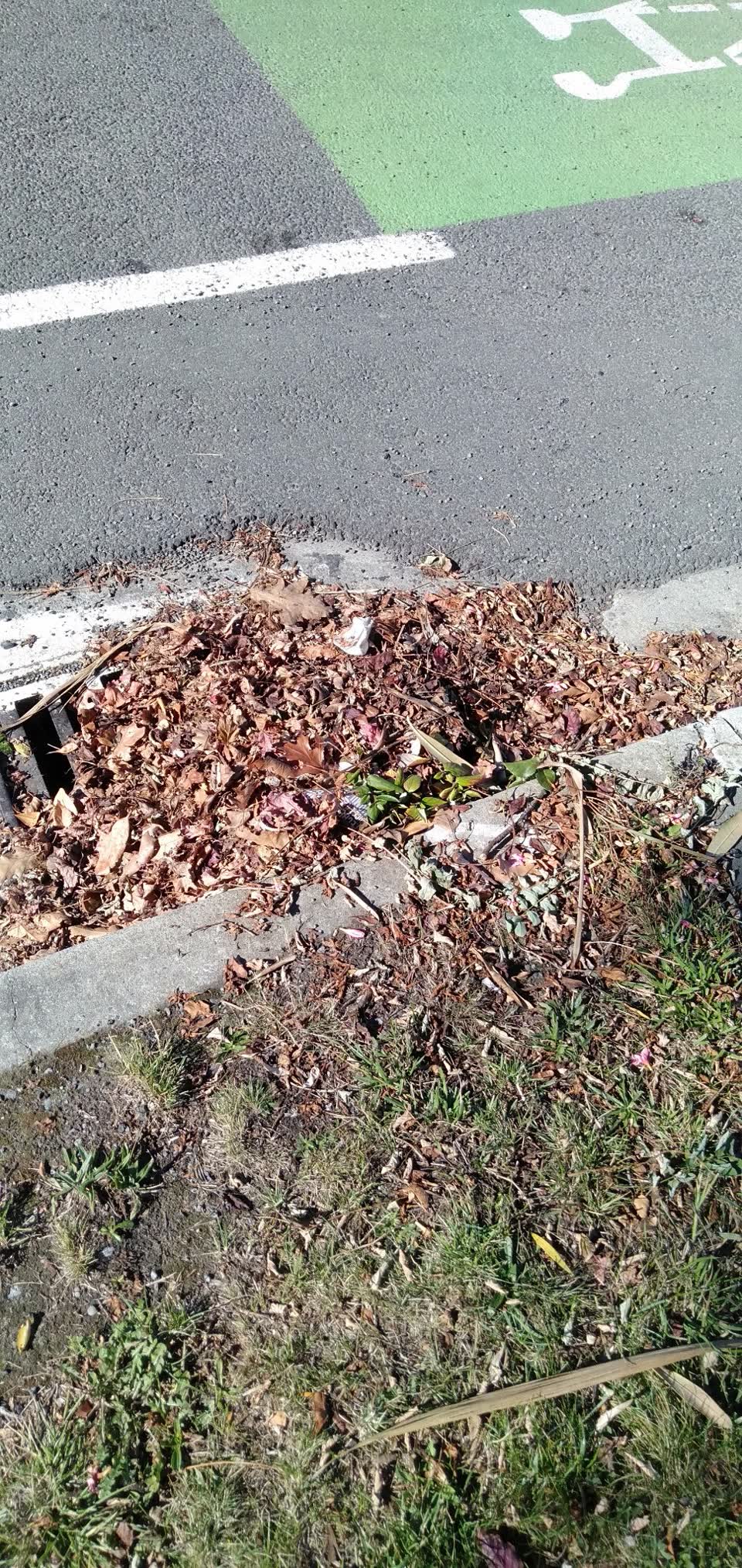 The photograph attached to this flooding report