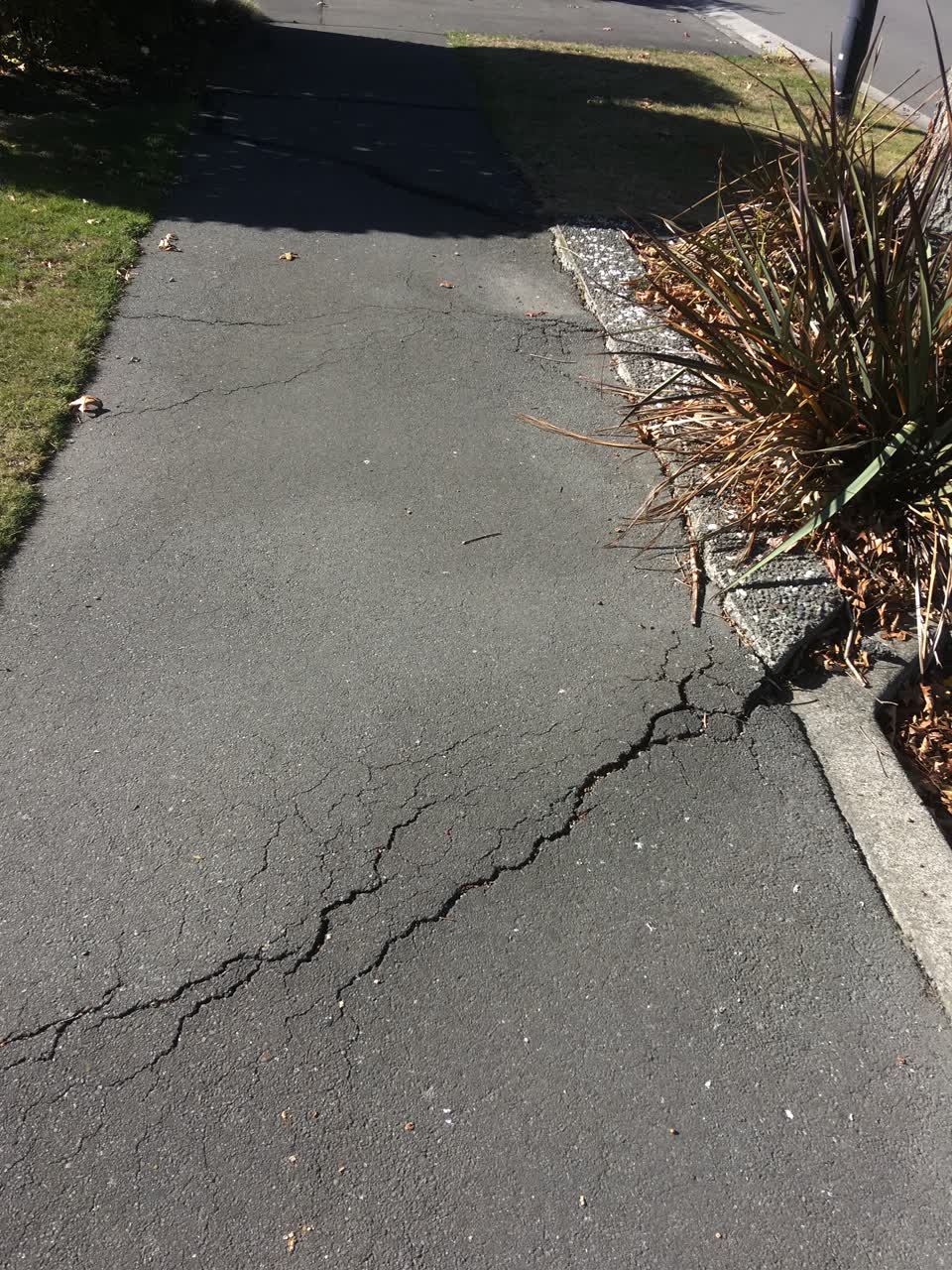 The photograph attached to this roading/streets report