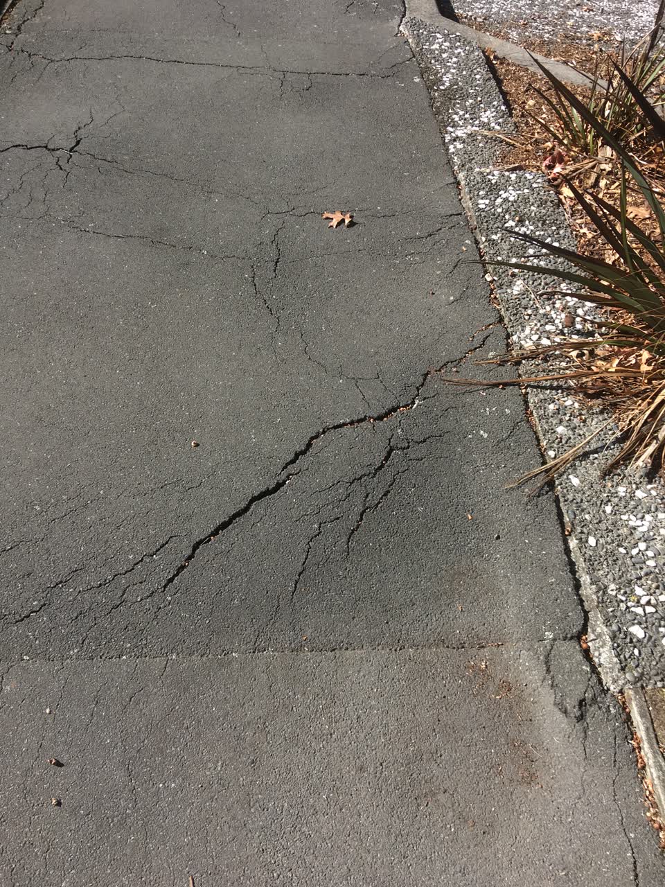 The photograph attached to this roading/streets report