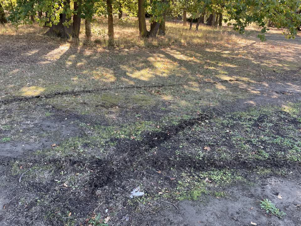 The photograph attached to this parks report