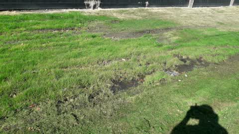 Parks, a report photo