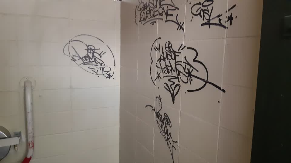 The photograph attached to this graffiti report