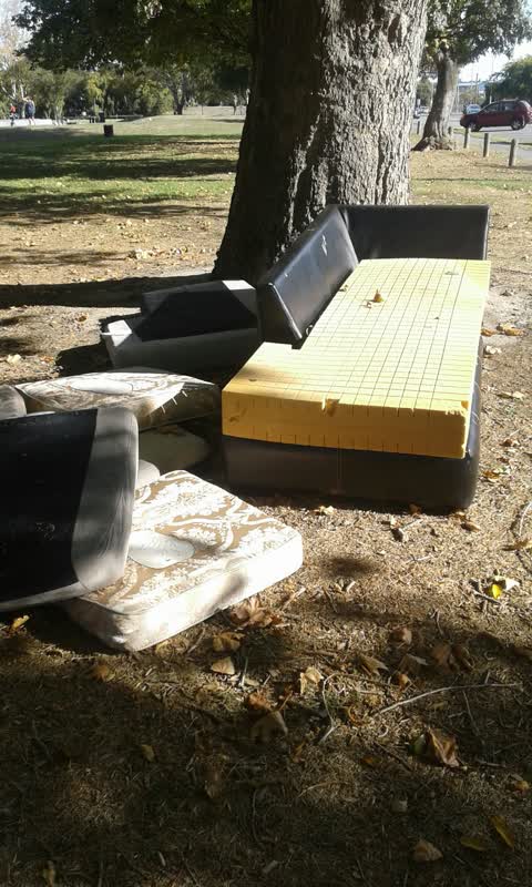 Parks, a report photo
