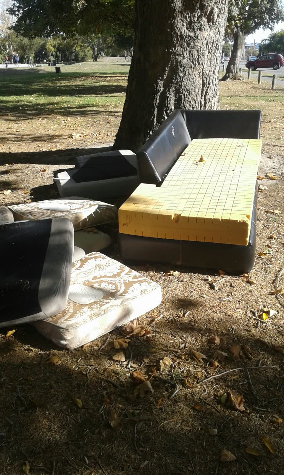 The photograph attached to this parks report