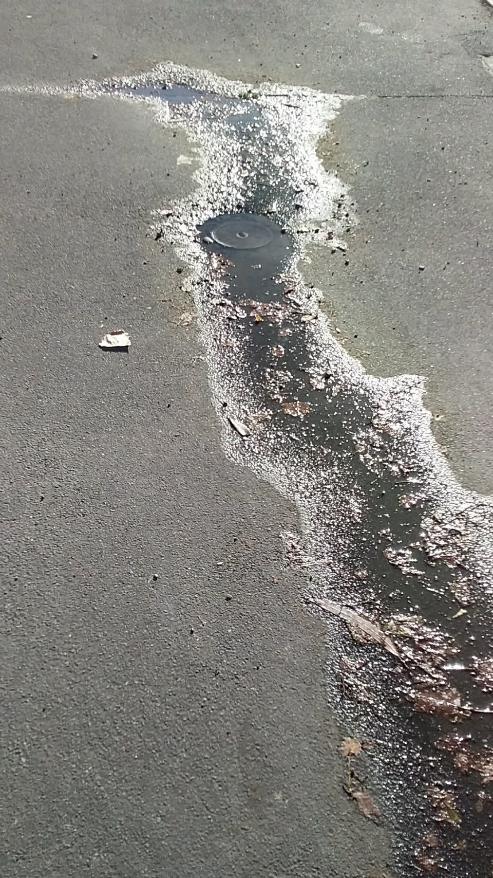 The photograph attached to this water leak report