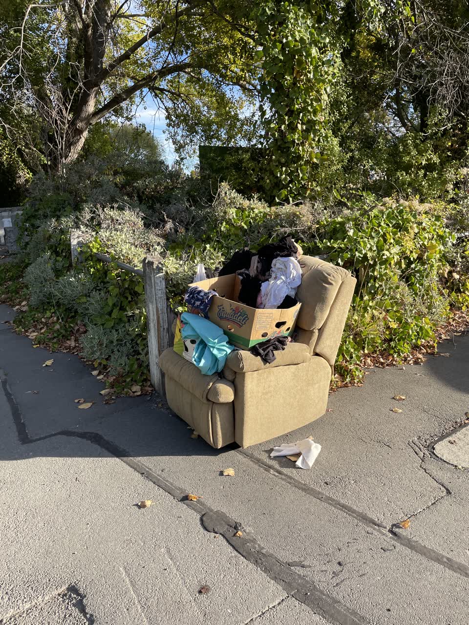 The photograph attached to this rubbish/recycling report