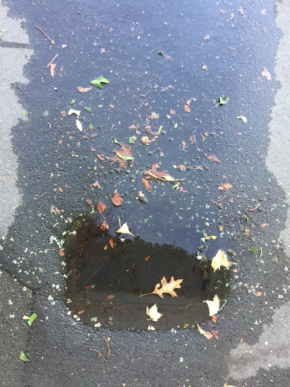 The photograph attached to this wastewater/stormwater report