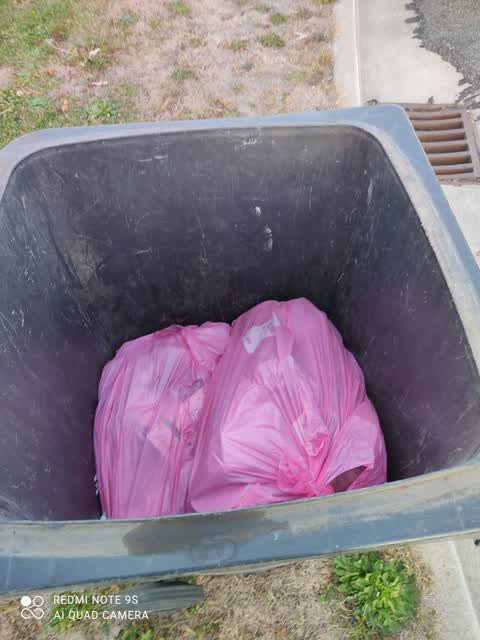 Rubbish/Recycling, a report photo