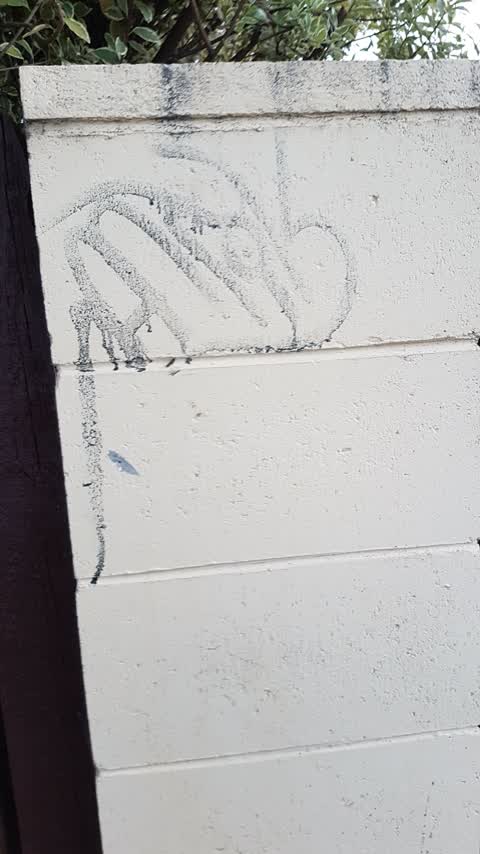 Graffiti, a report photo