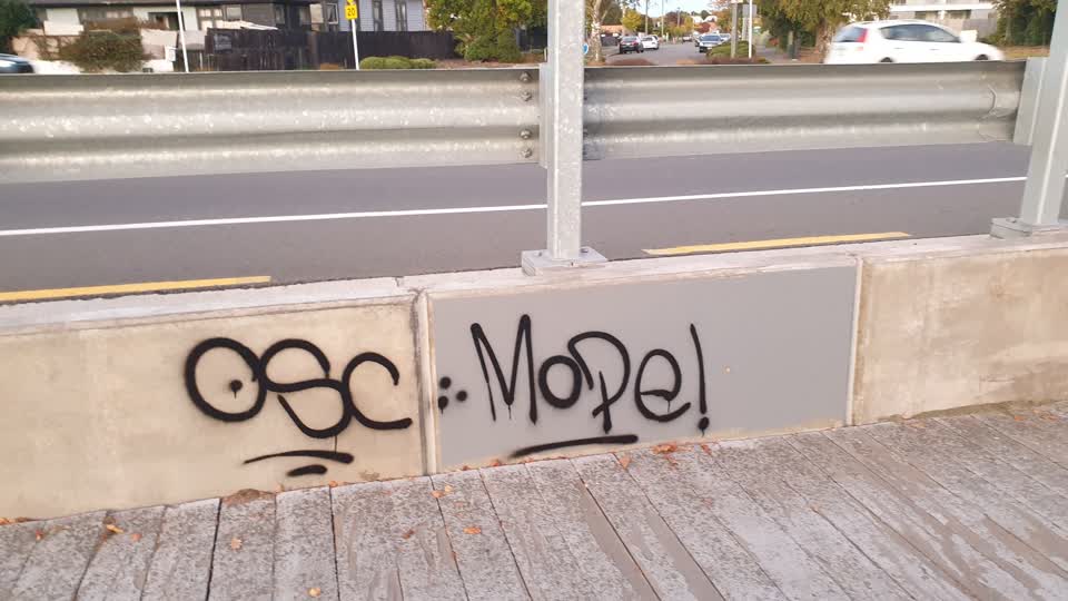 The photograph attached to this graffiti report