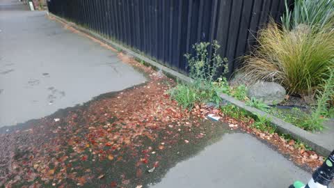 Water Leak, a report photo