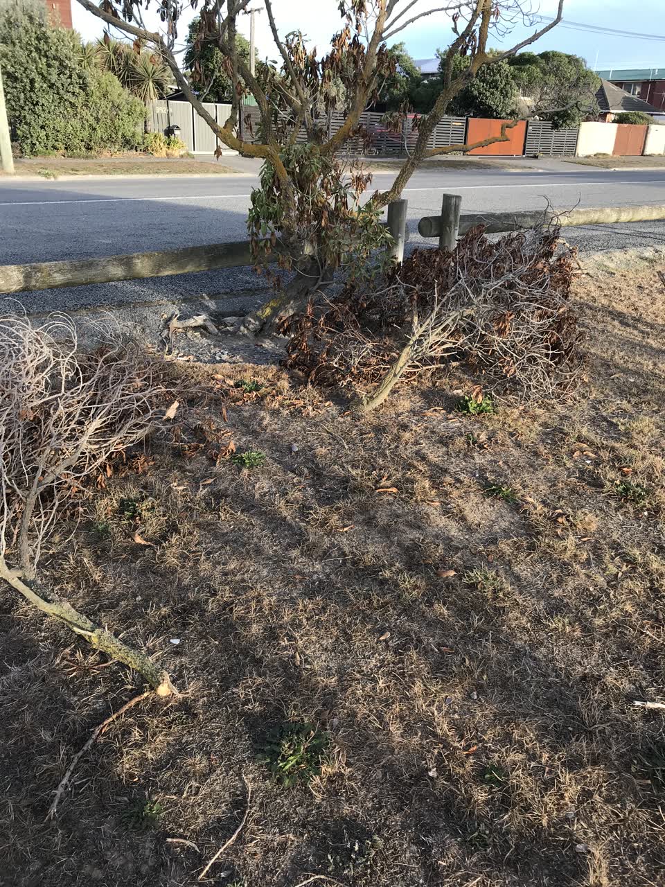 The photograph attached to this parks report