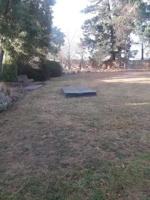 Parks, a report photo
