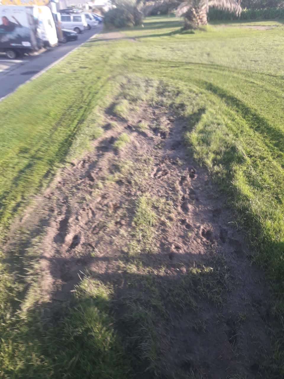 The photograph attached to this parks report
