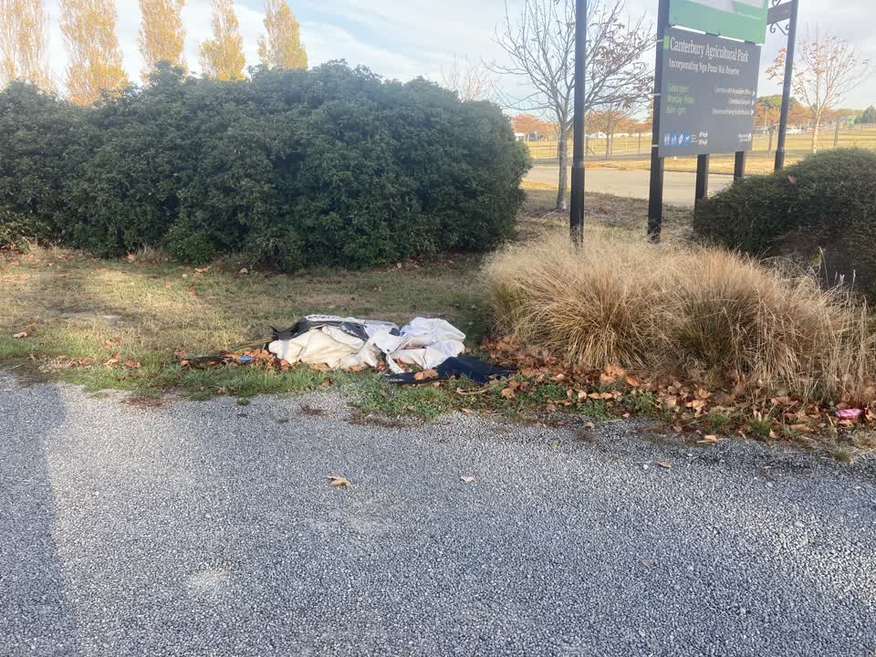 The photograph attached to this parks report