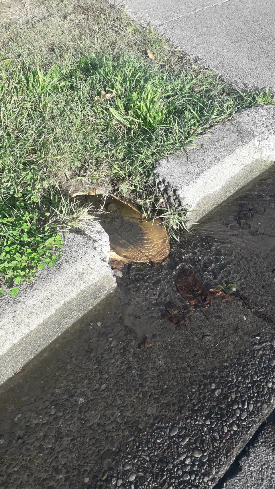The photograph attached to this water leak report