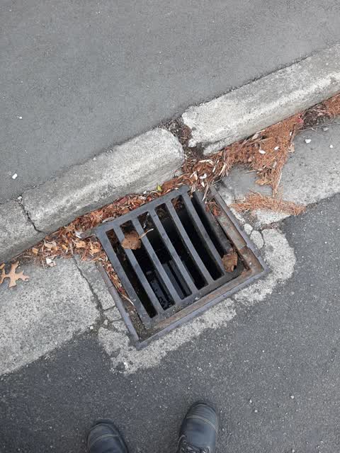 Sewer - General, a report photo
