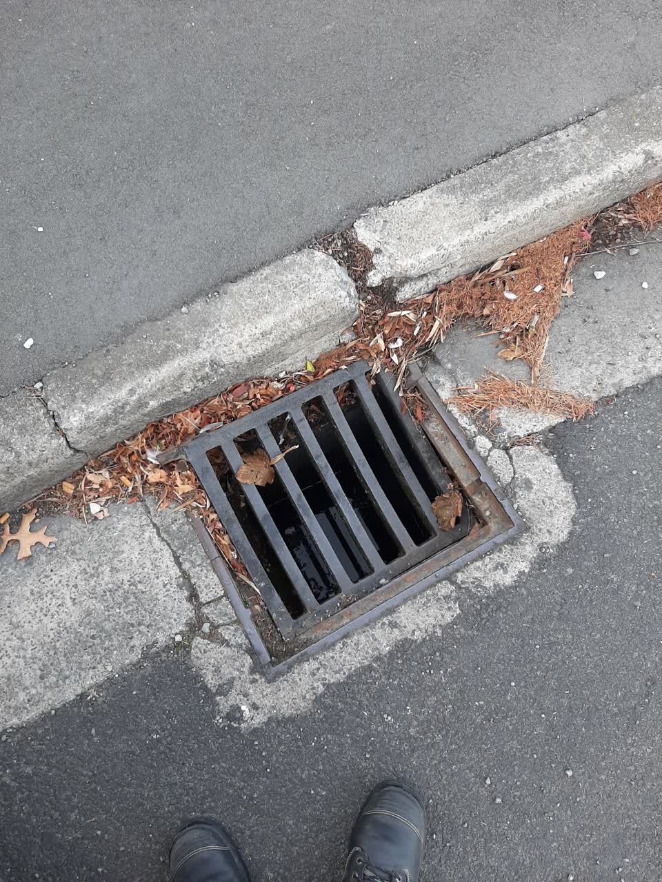 The photograph attached to this sewer - general report