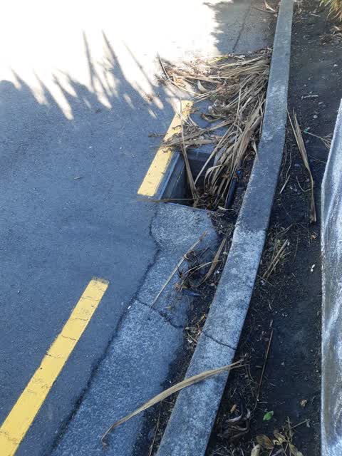 Roading/Streets, a report photo
