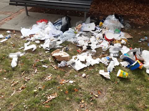 Rubbish/Recycling, a report photo