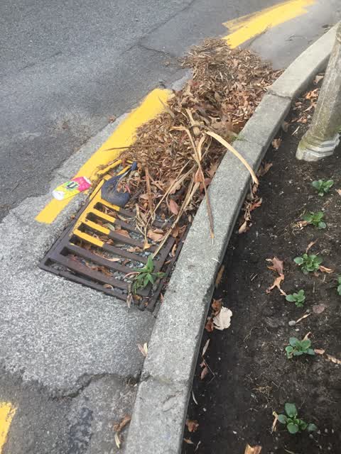 Roading/Streets, a report photo