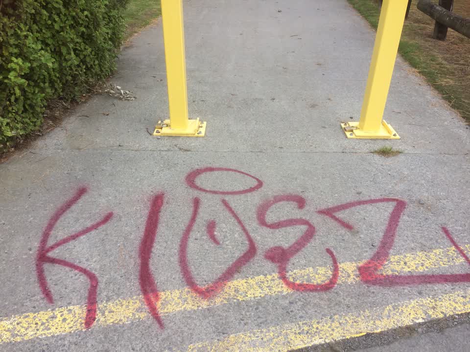 The photograph attached to this graffiti report