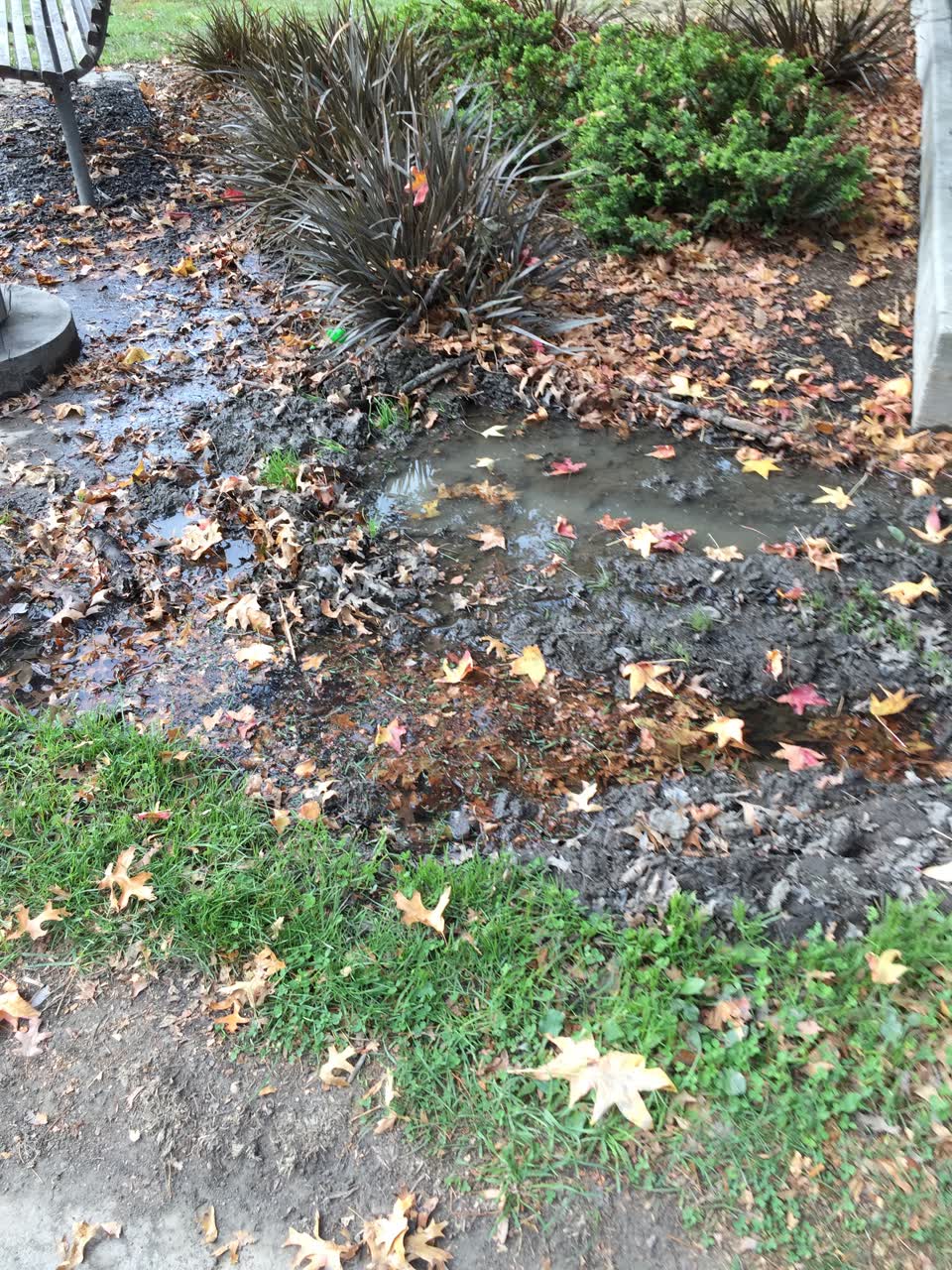 The photograph attached to this parks report