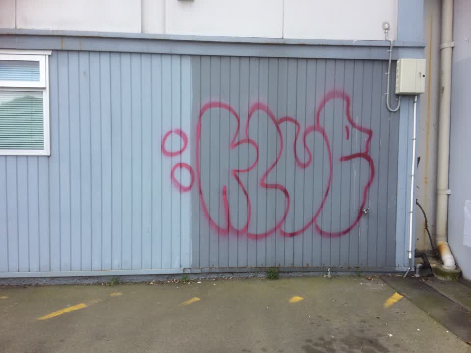 The photograph attached to this graffiti report