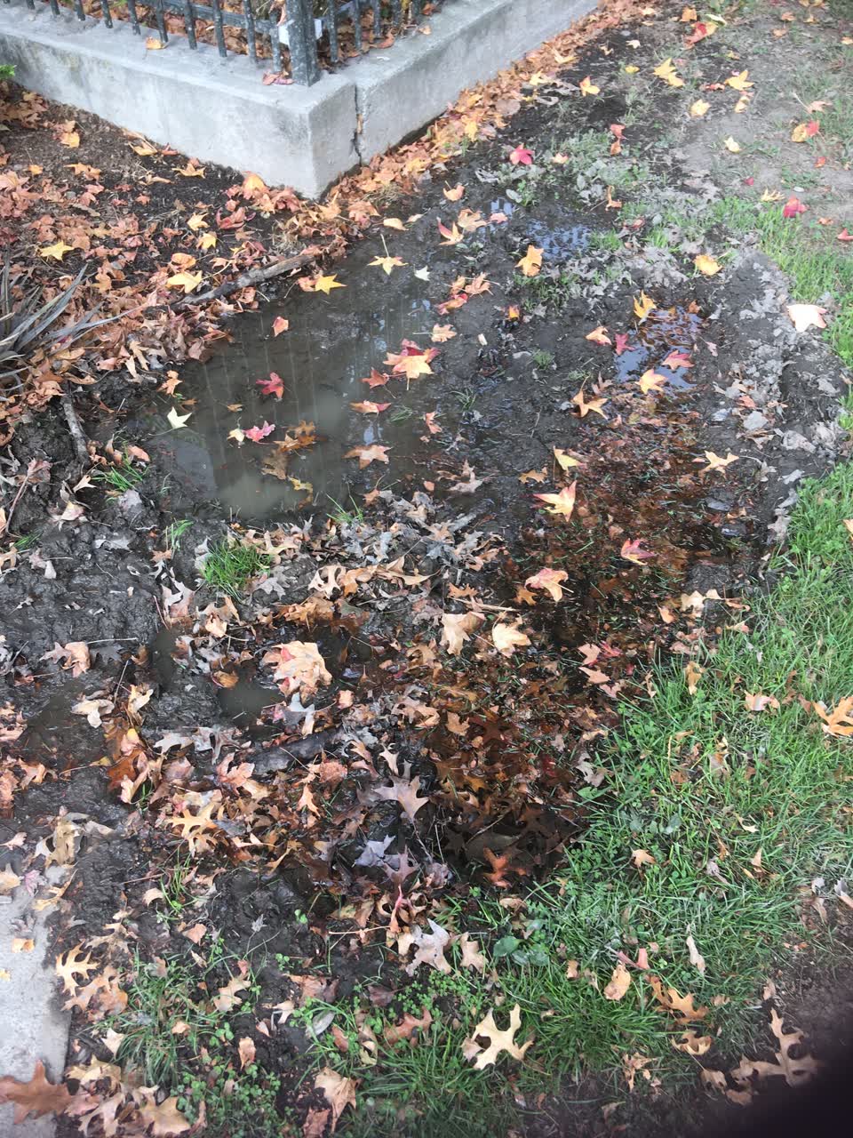 The photograph attached to this water leak report
