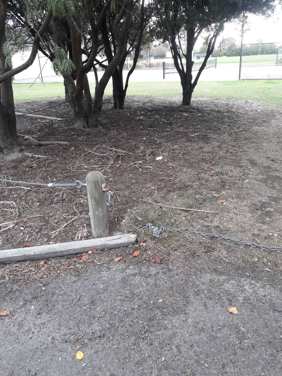 The photograph attached to this parks report