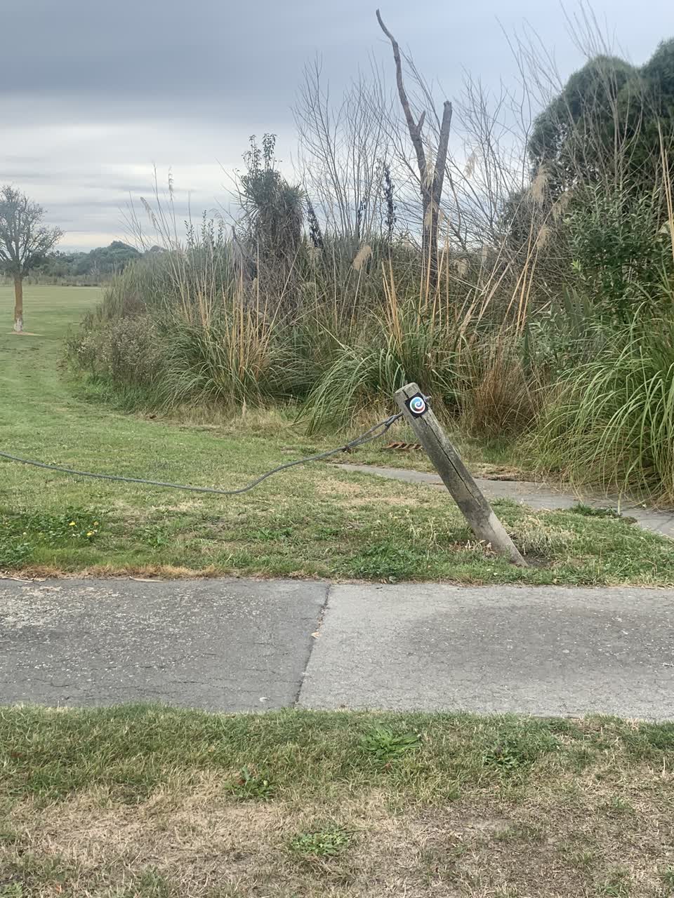 The photograph attached to this parks report