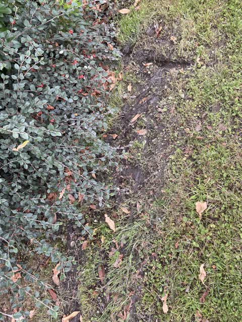 Water Leak, a report photo