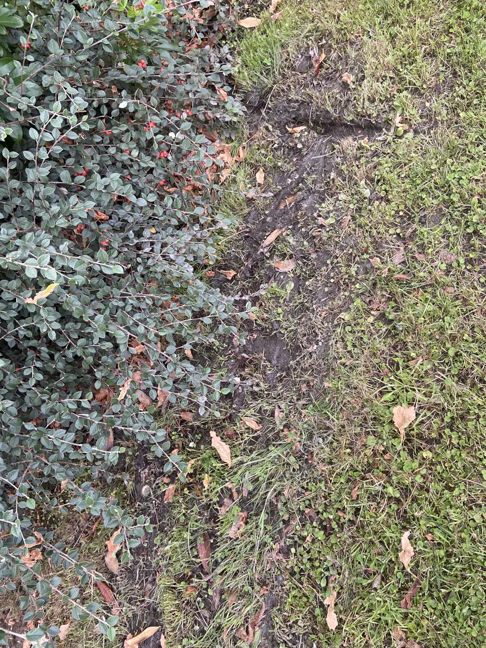 The photograph attached to this water leak report