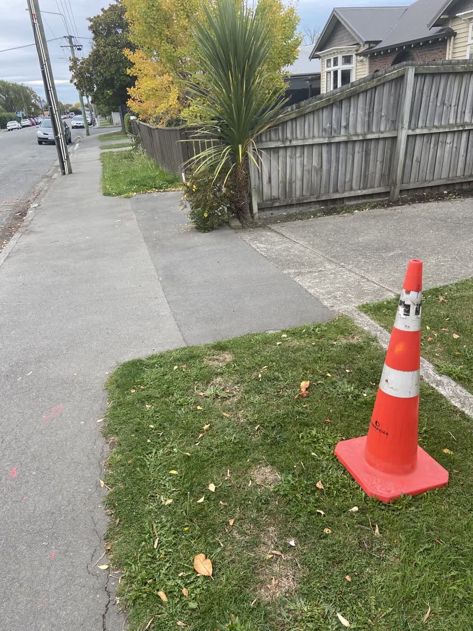 The photograph attached to this roading/streets report