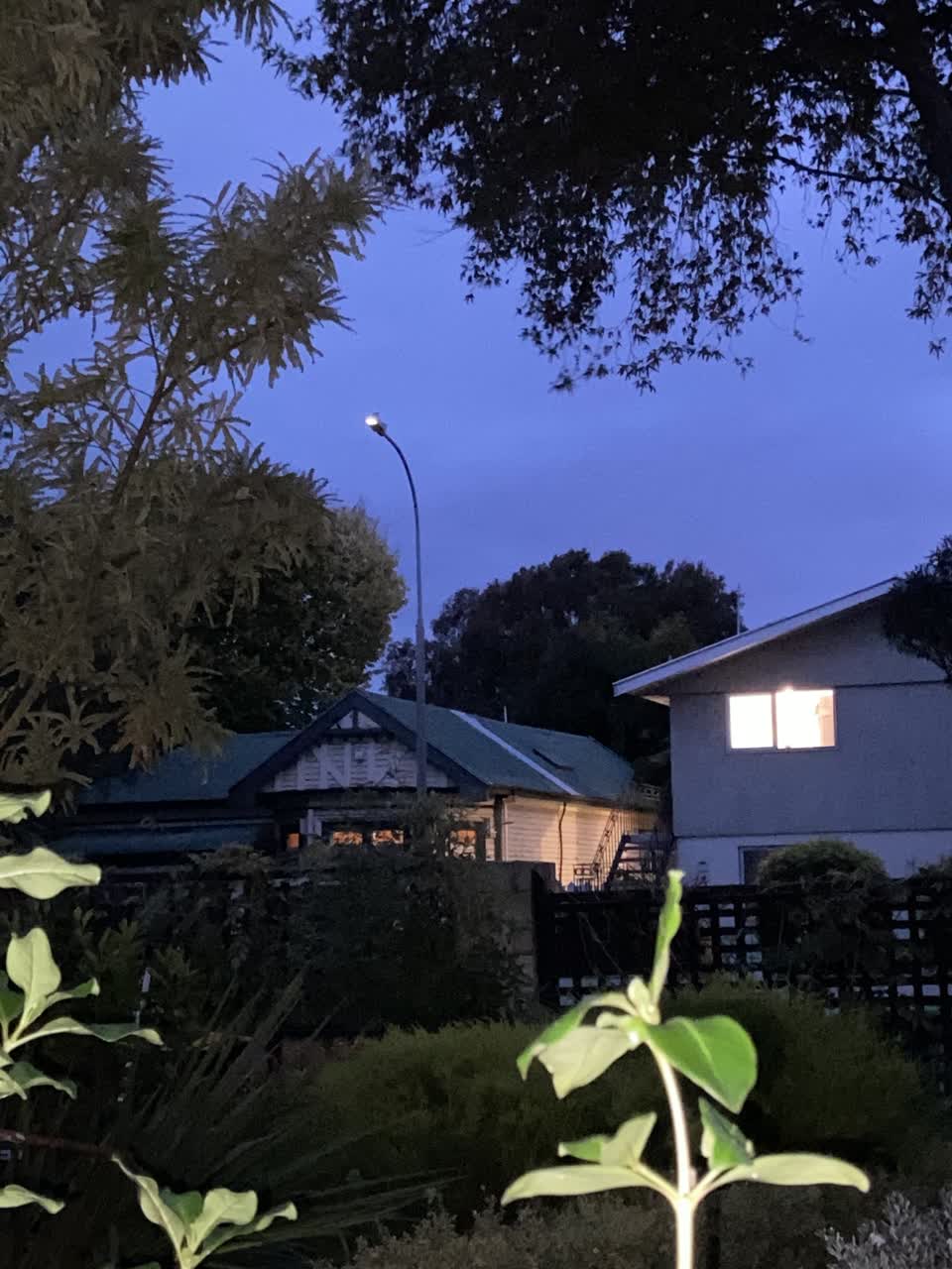 The photograph attached to this street light outage report