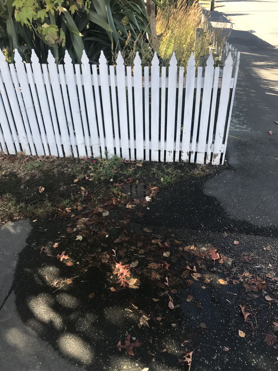 The photograph attached to this water leak report