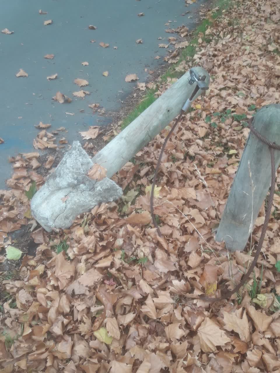 The photograph attached to this parks report
