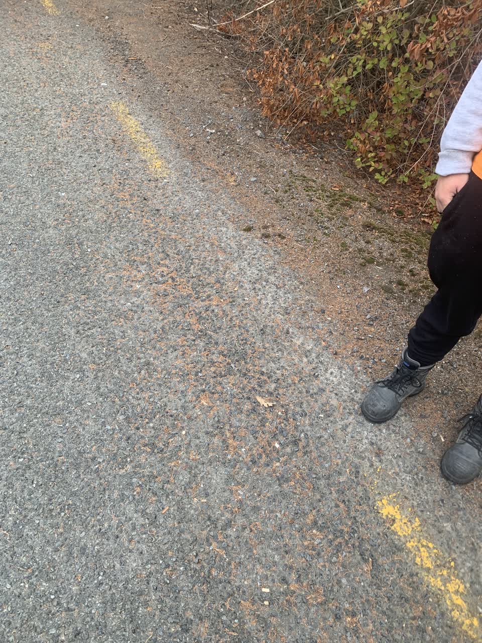 The photograph attached to this roading/streets report