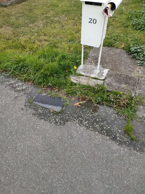 Water Leak, a report photo