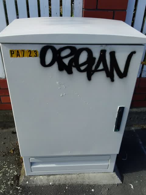 Graffiti, a report photo