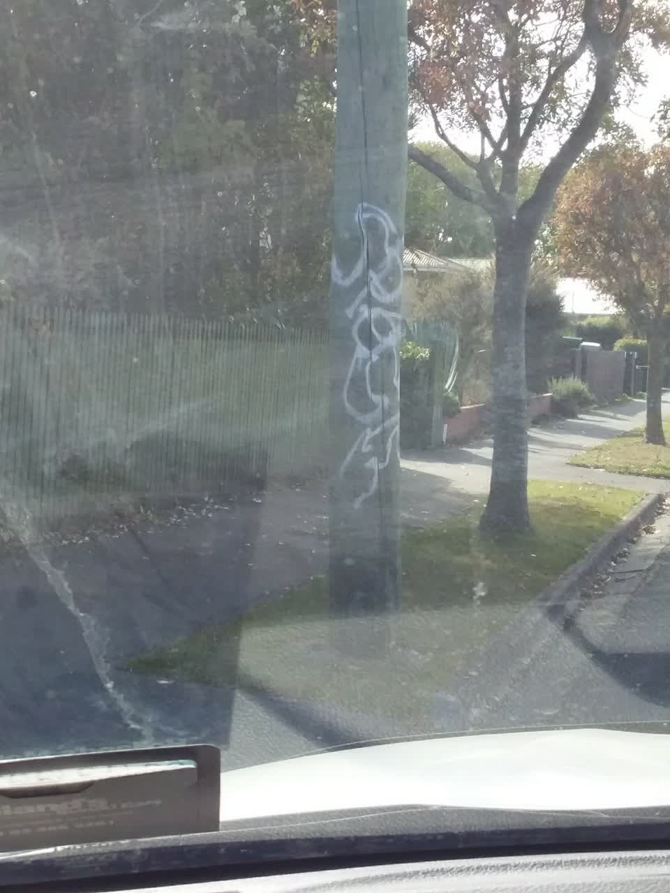 The photograph attached to this graffiti report