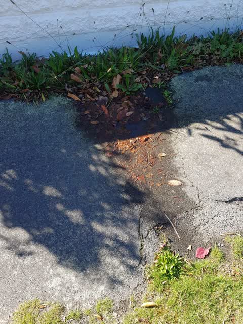 Water Leak, a report photo