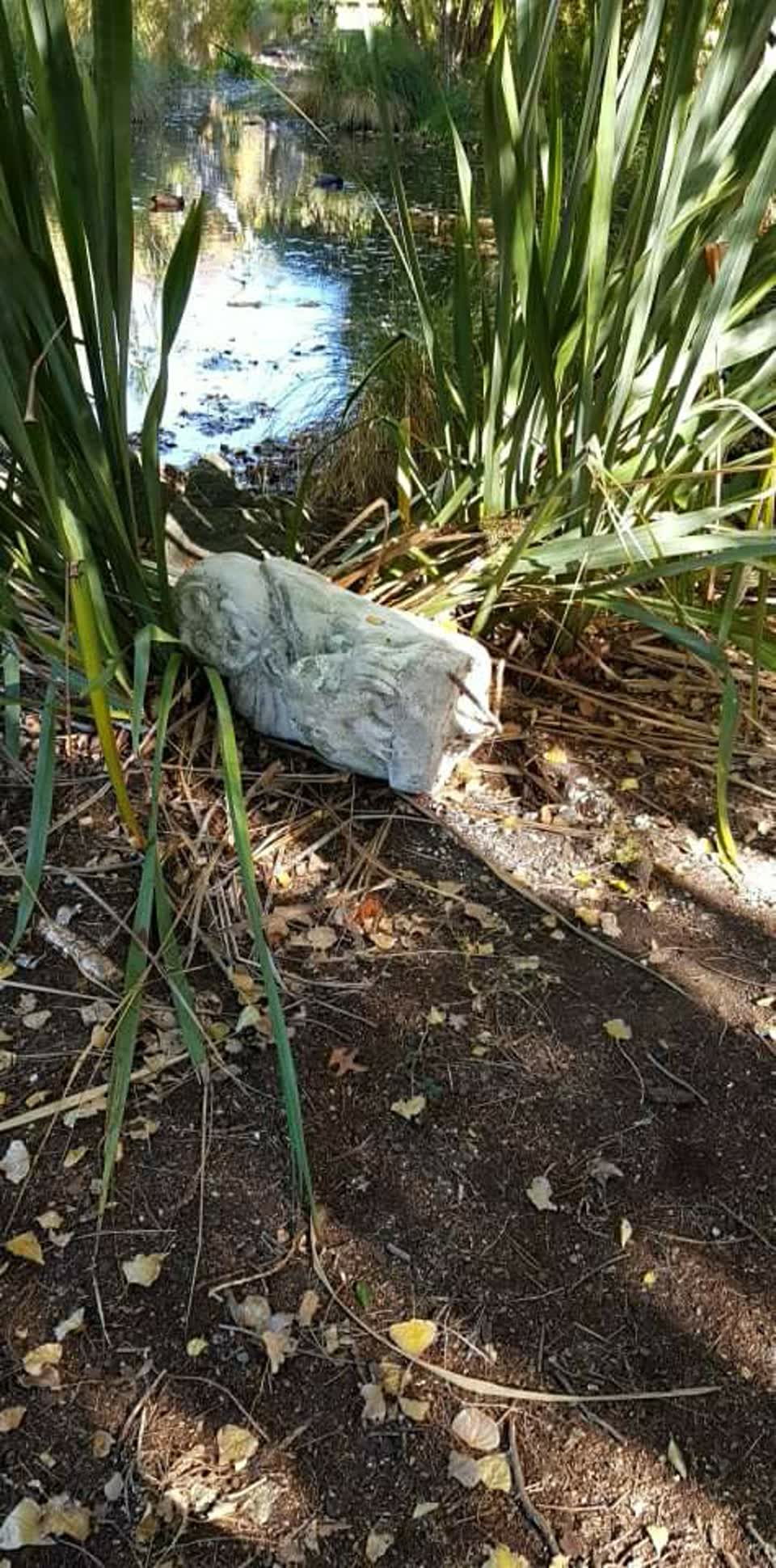 The photograph attached to this parks report