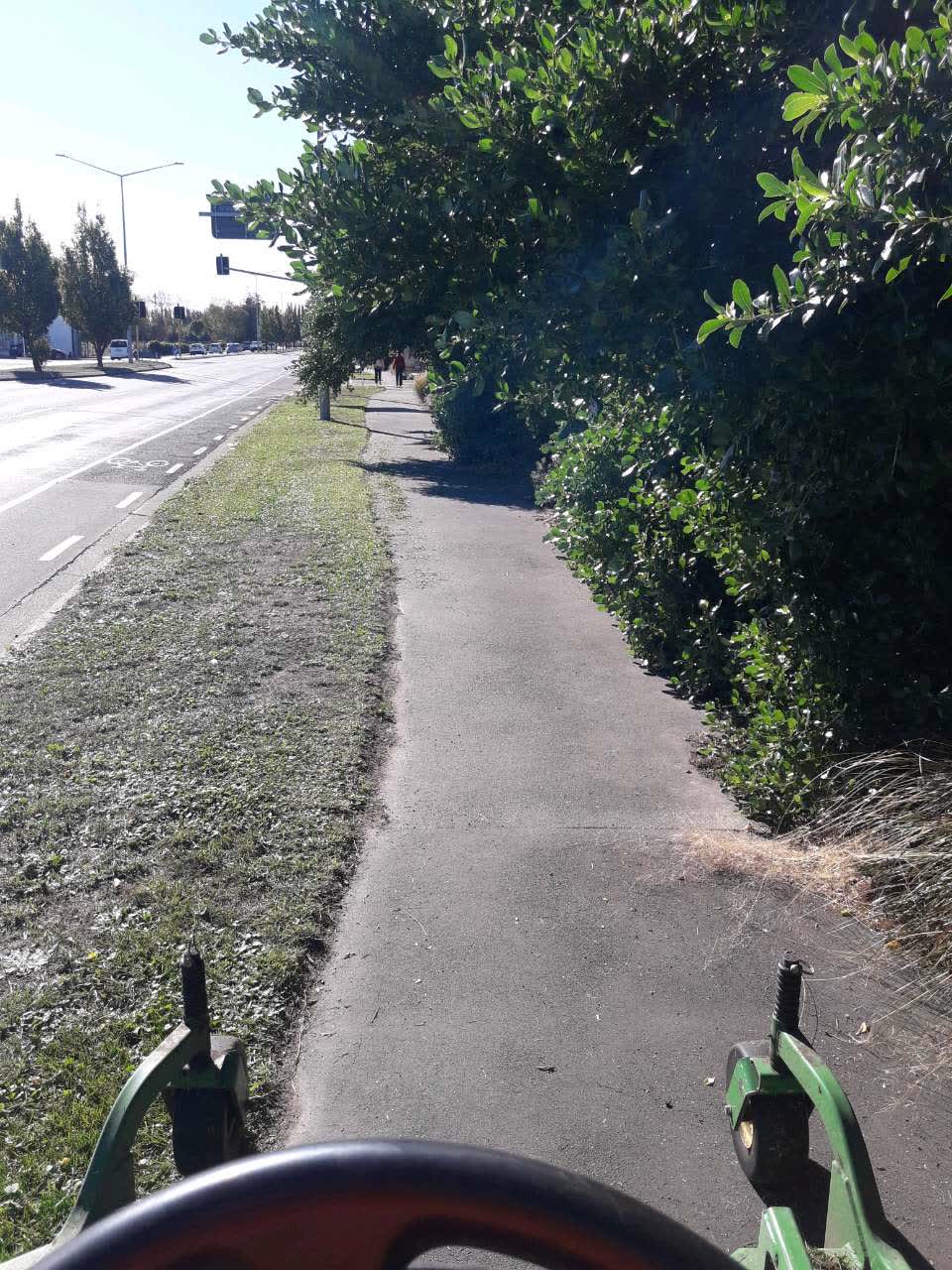 The photograph attached to this parks report